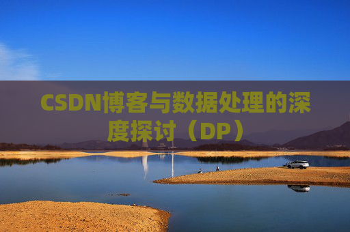 CSDN博客与数据处理的深度探讨（DP）